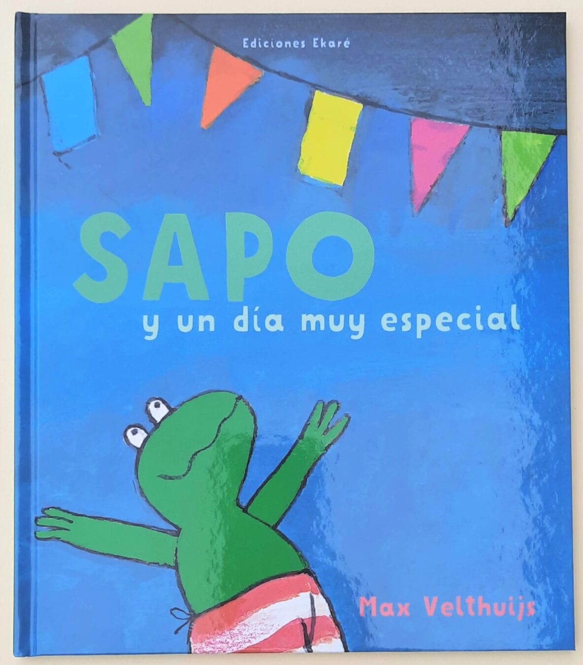 Sapo y un Día Muy Especial El Arca Libros y Juegos Infantiles