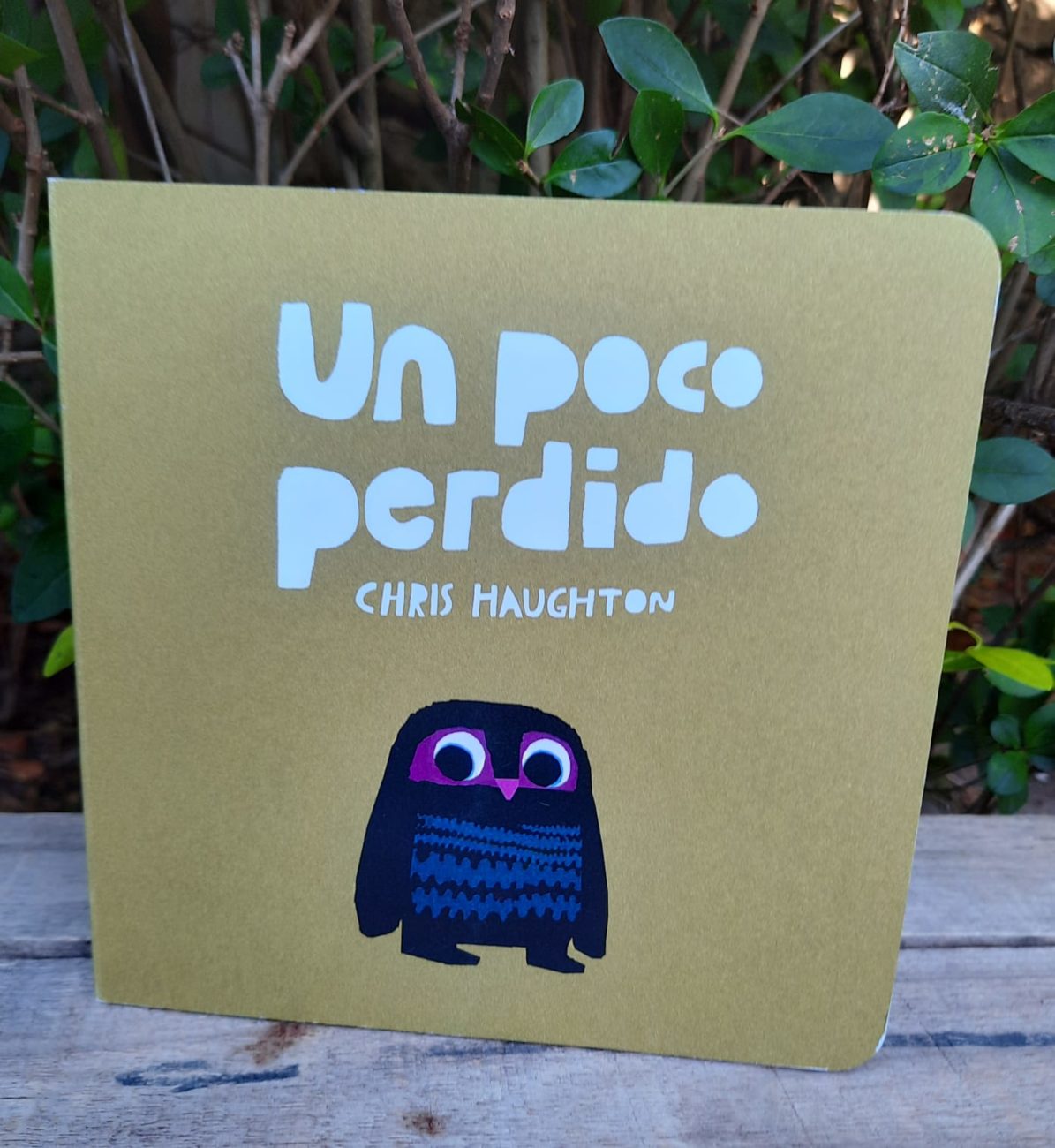 Un Poco Perdido El Arca Libros y Juegos Infantiles